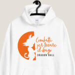 Combatti-per-trovare-il-drago---dragonball-cartone